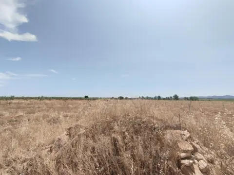 Finca rústica en Membrilla